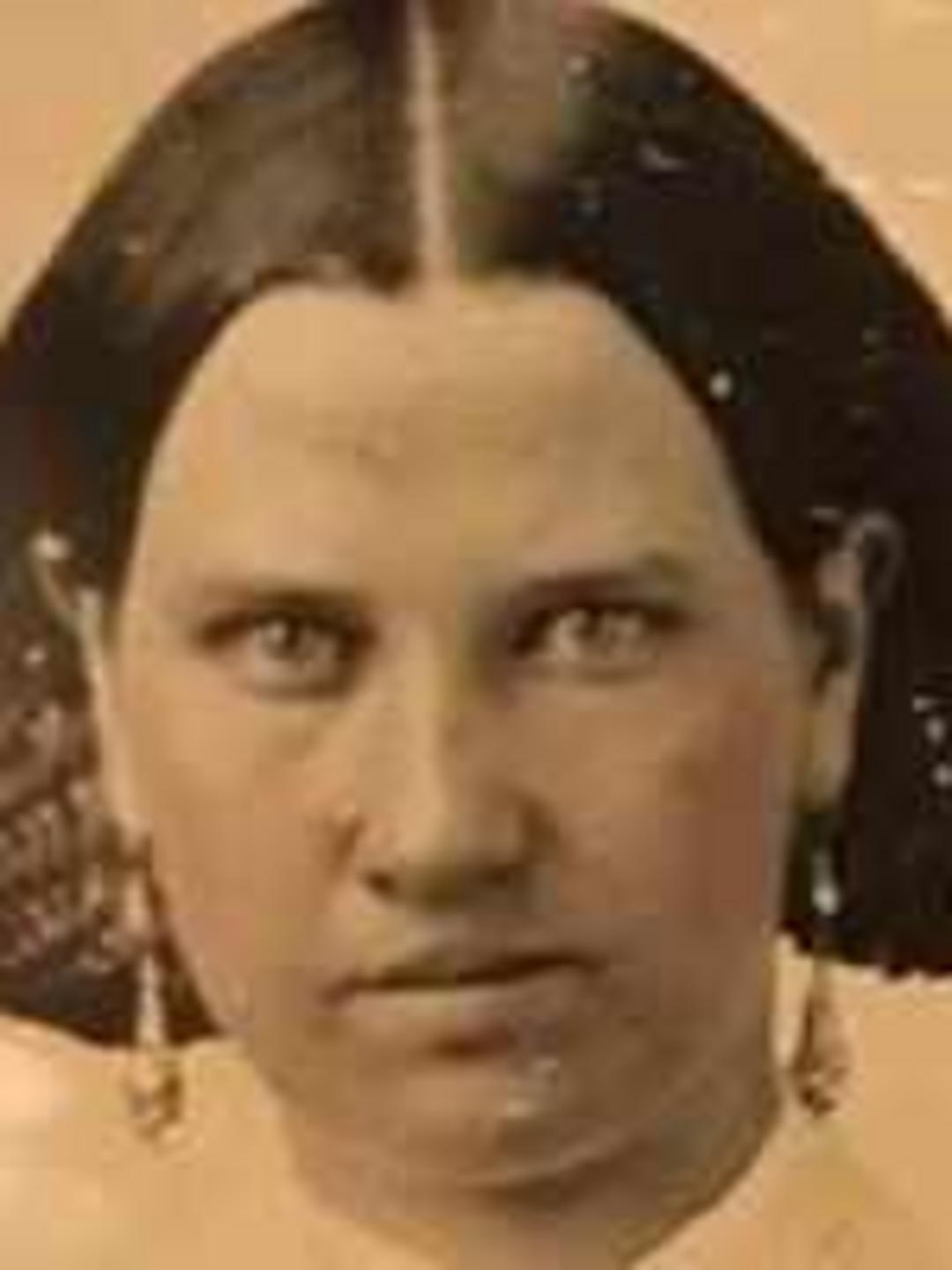 Mary Ann Whittaker (1840 - 1922) Profile